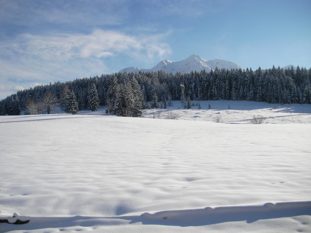 Ferienwohnung Haus Hubertus Hochfilzen Exterior foto